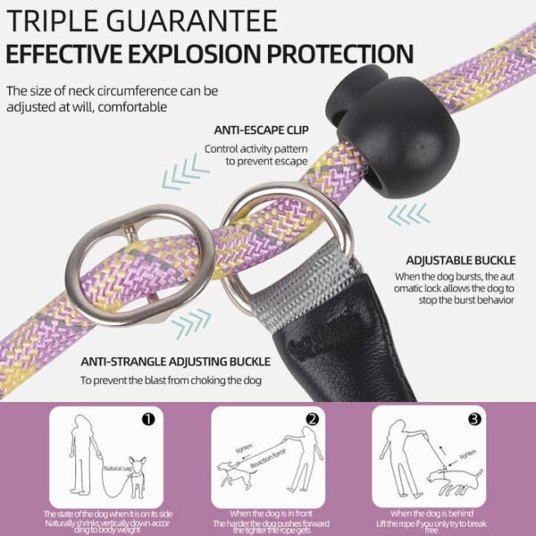 High-Quality Reflective Nylon Dog Rope Leash