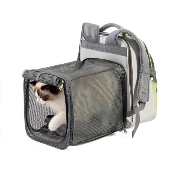 Hdb63b9b4fd4b4f8e935738c4a7ebde43K.jpg_720x720q50_800x800.jpg Outdoor Breathable Travel Pet Carrier Backpack